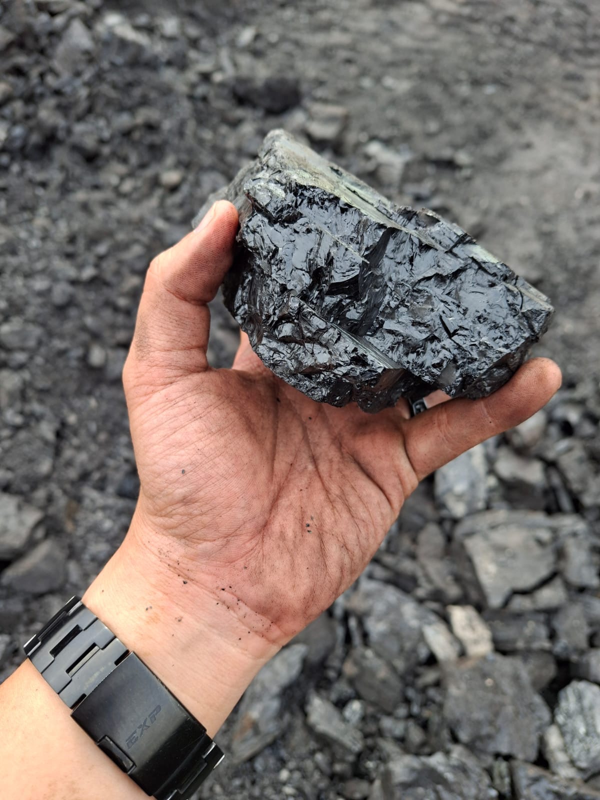 WhatsApp Image 2024-11-21 at 19.27.01_d5a1d616 WhatsApp Image 2024-11-21 at 19.27.01_d5a1d616