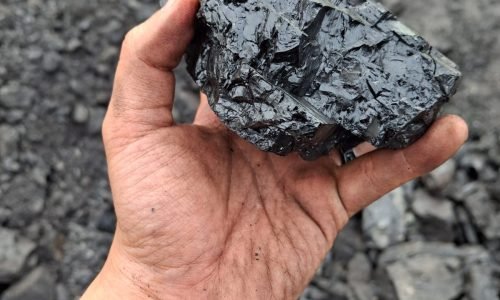 WhatsApp Image 2024-11-21 at 19.27.01_d5a1d616